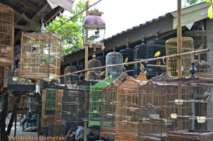 Mercado de los pájaros